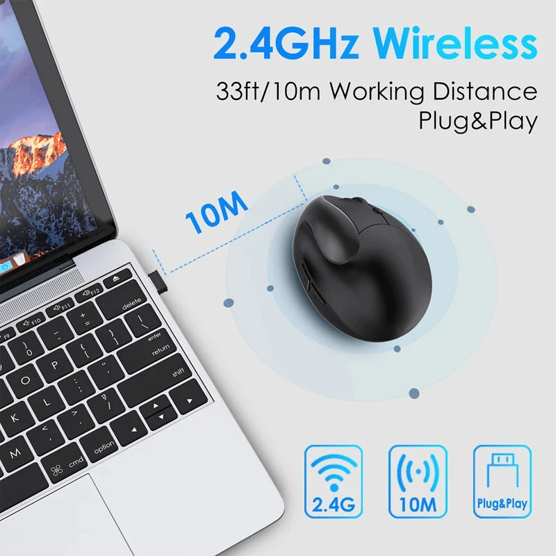 Souris Ergonomique Sans Fil