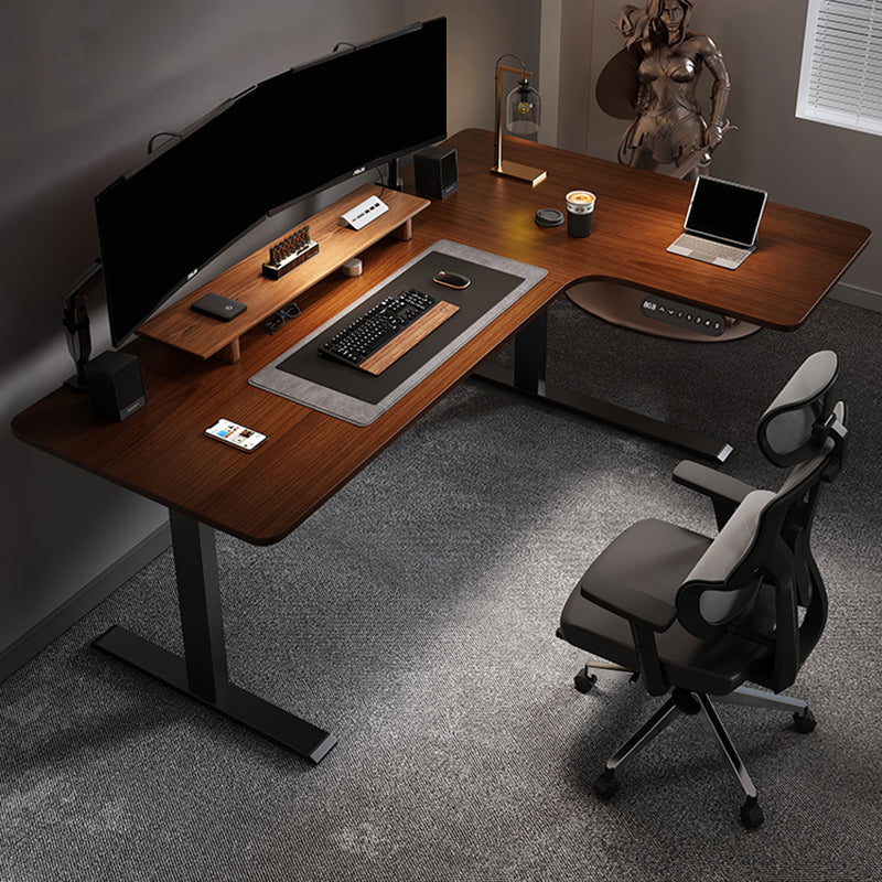 Chaises & Assises Ergonomiques